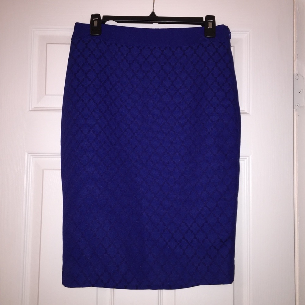 NWT Blue skirt - size 6 Tall